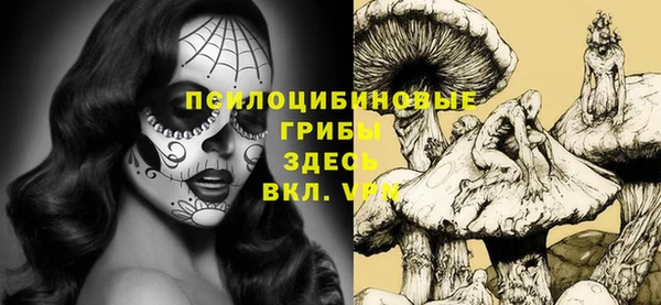 прущая мука Абаза