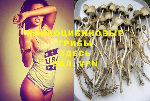 spice Абинск