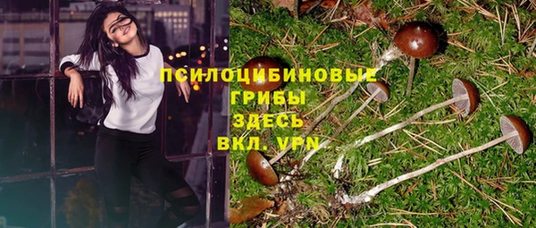 spice Абинск